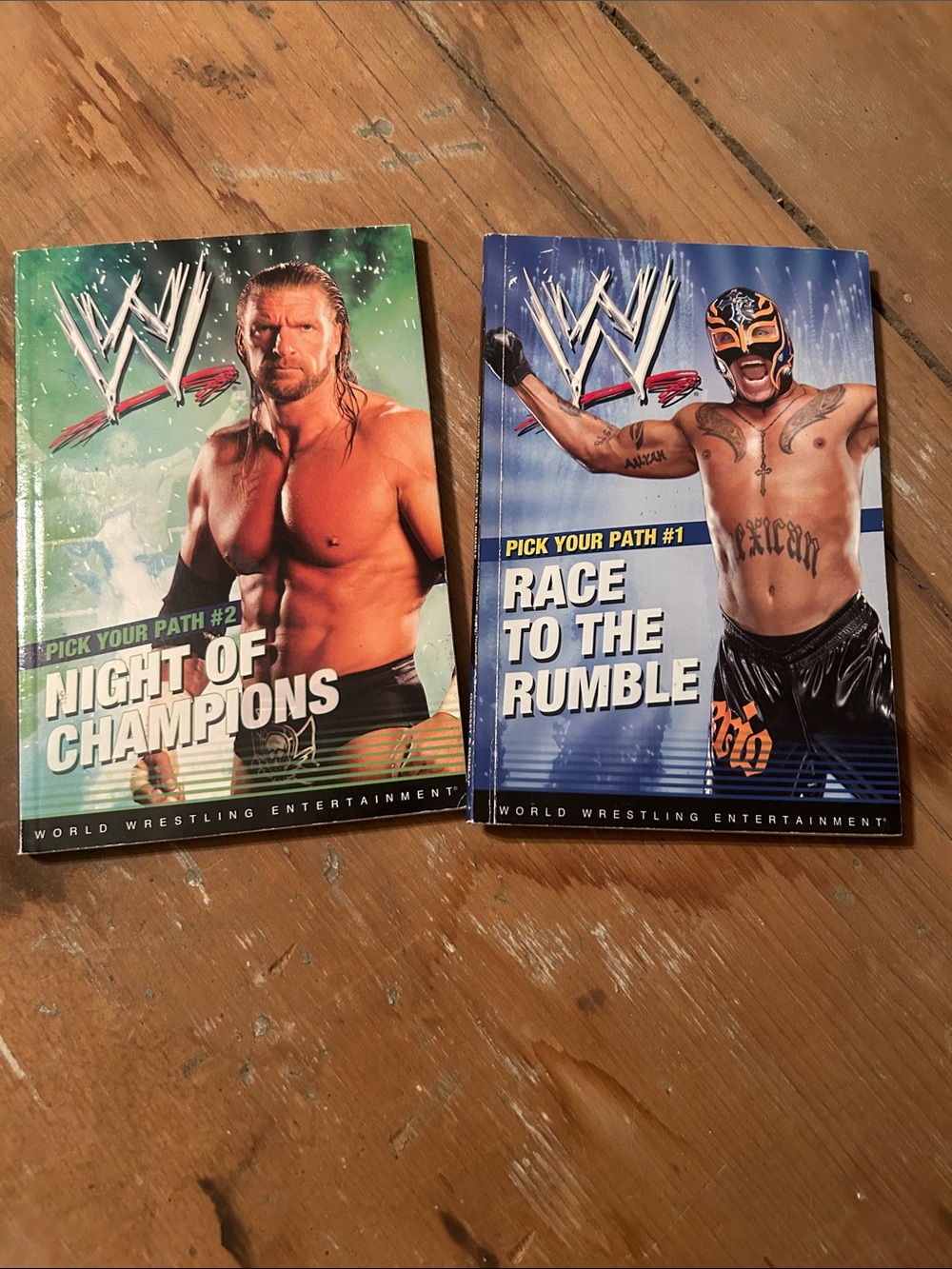 Pick your path -WWE books